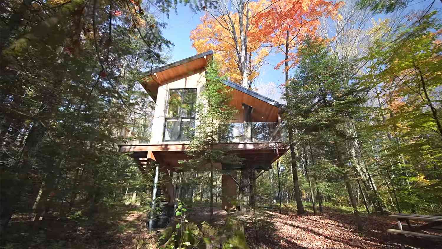 This {Photograph} voltaic-Powered Treehouse Was Constructed With Tree-Good Engineering